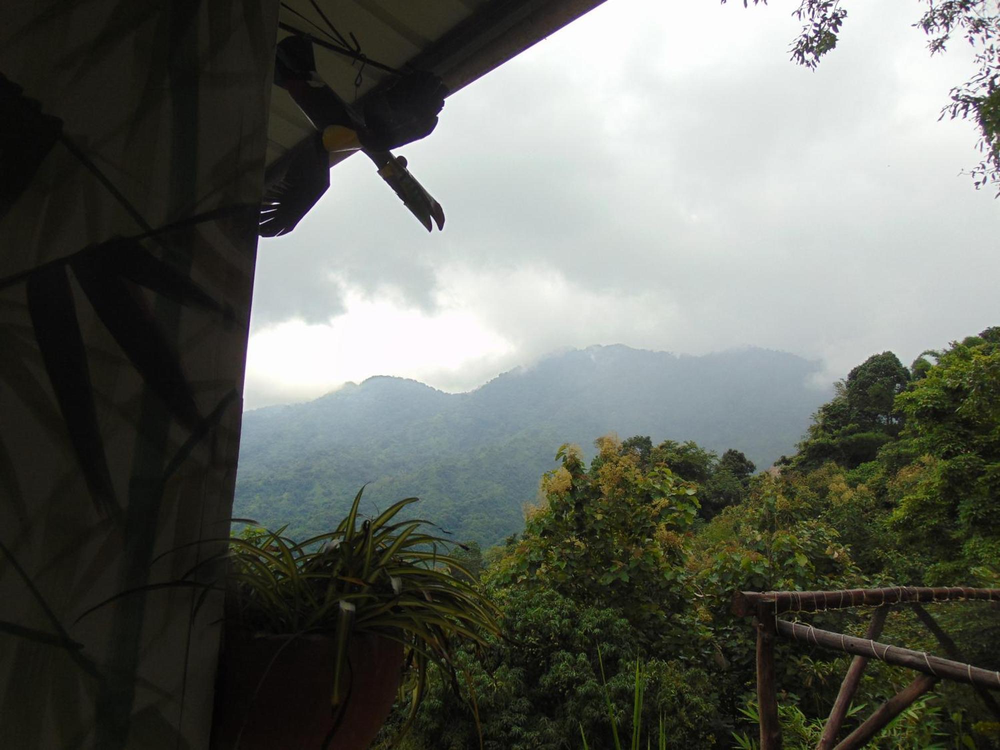 Dunarinka Country house *