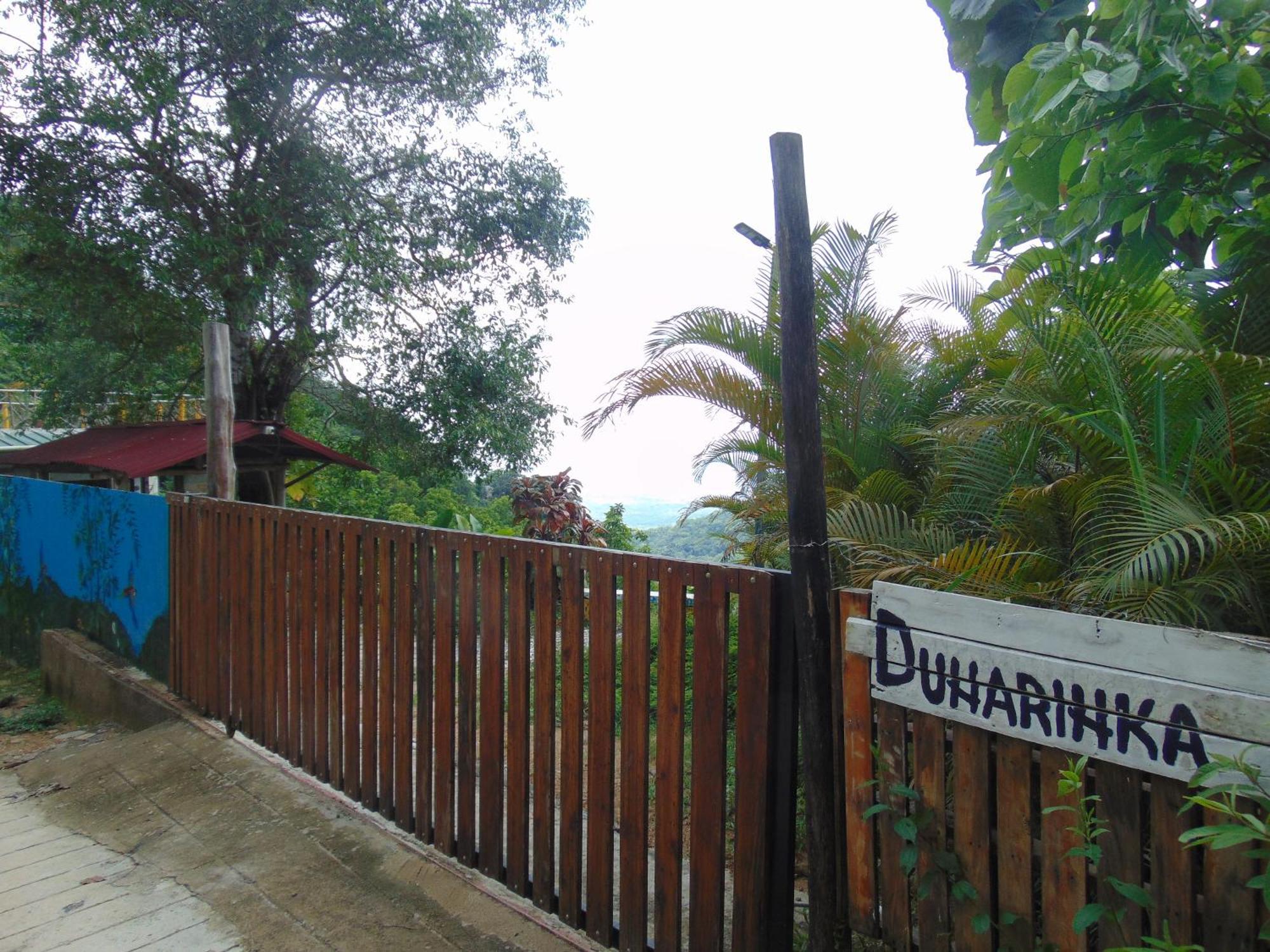 Dunarinka Minca