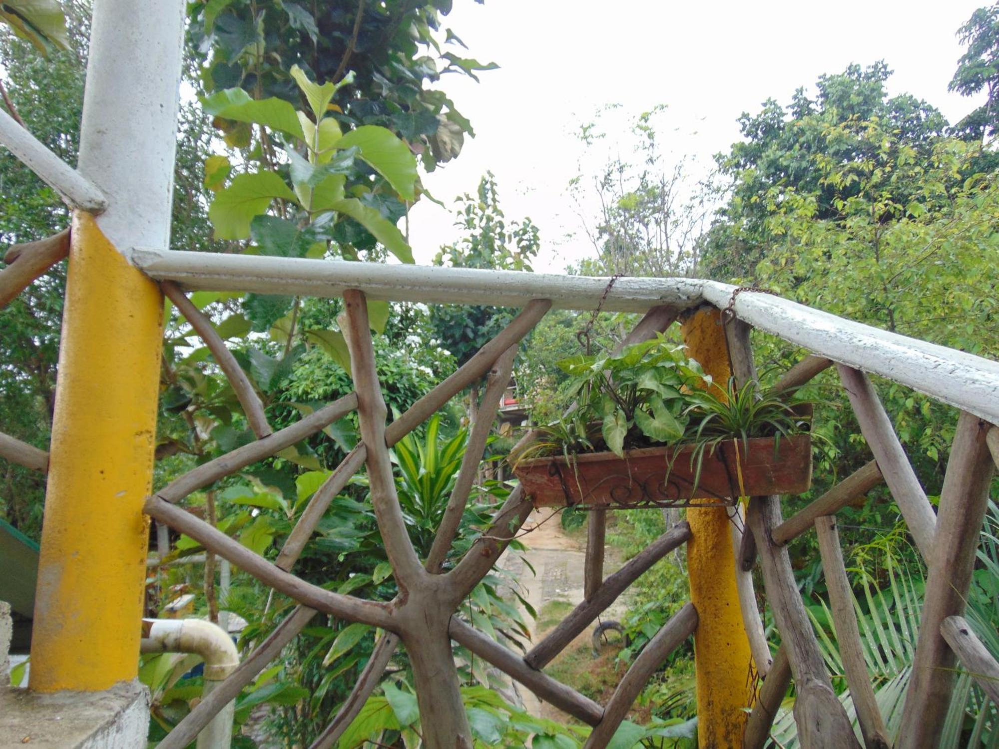 Dunarinka * Minca