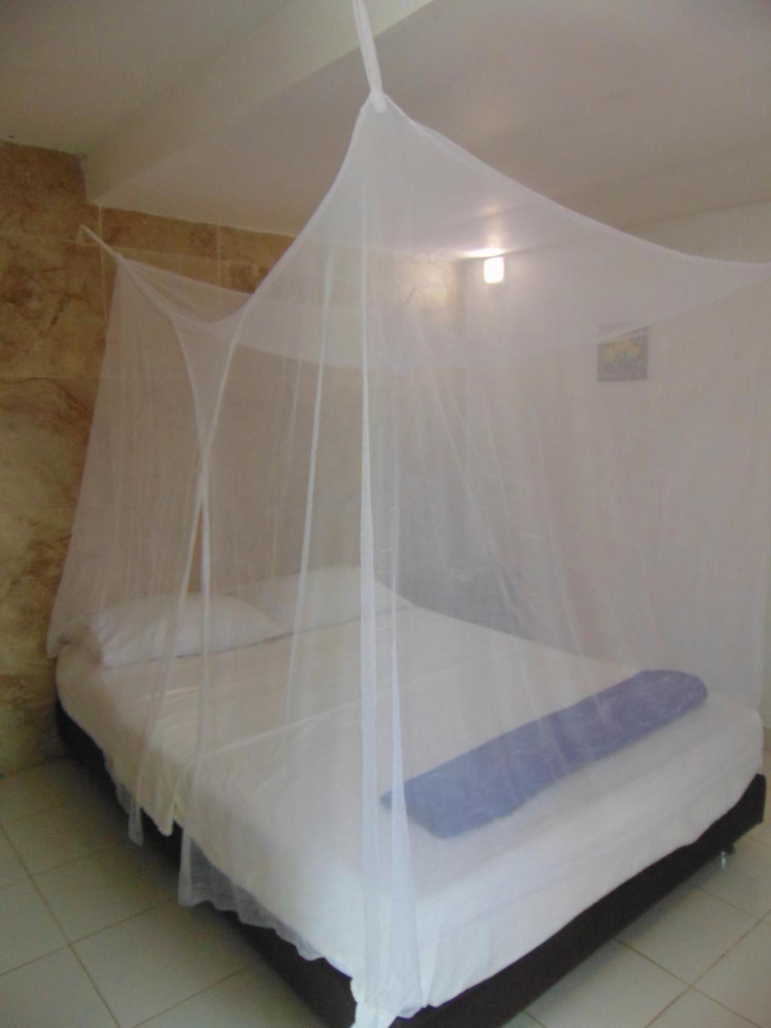 Country house Dunarinka *