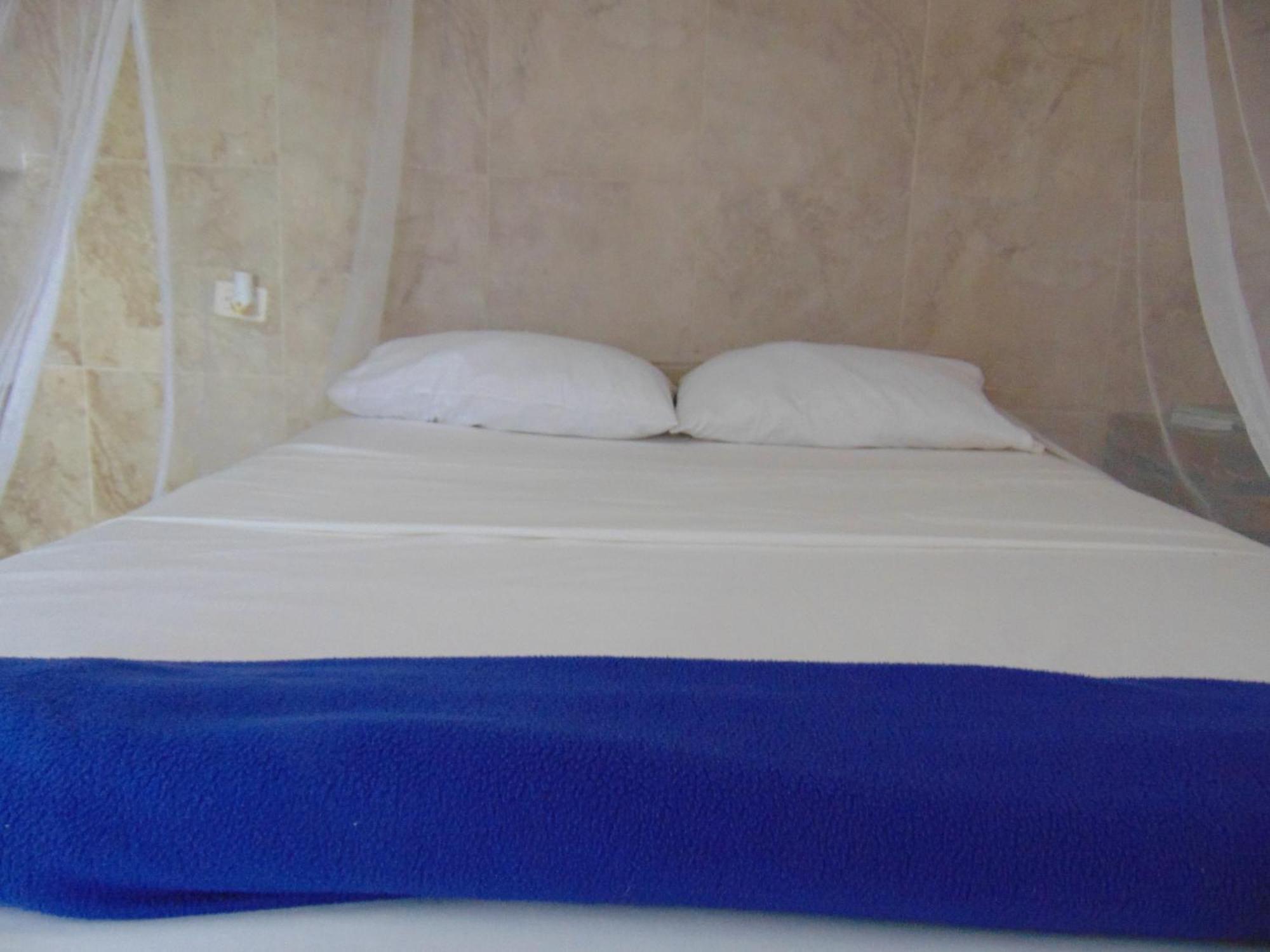 Country house Dunarinka *
