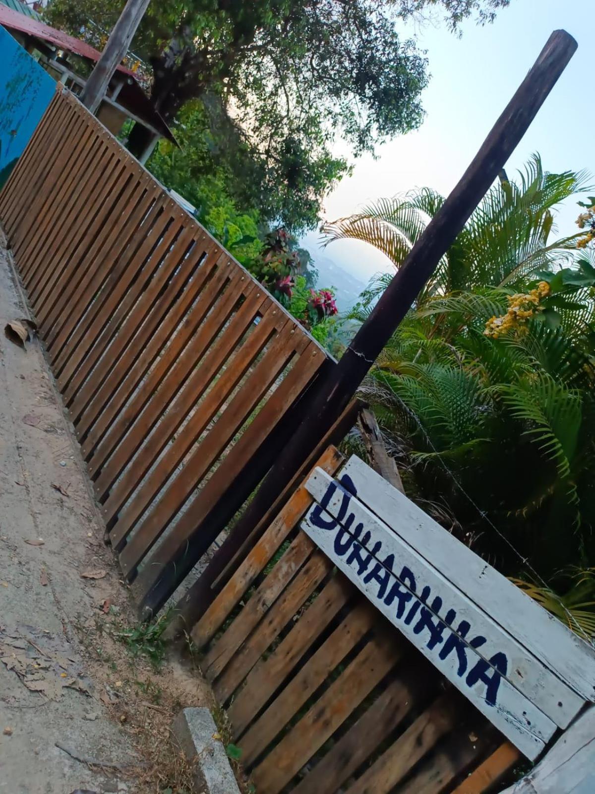 Country house Dunarinka *